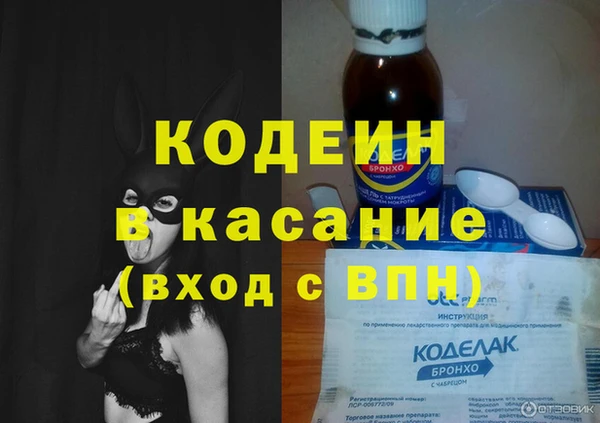 сатива Осинники