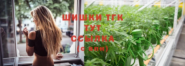 крисы Пересвет