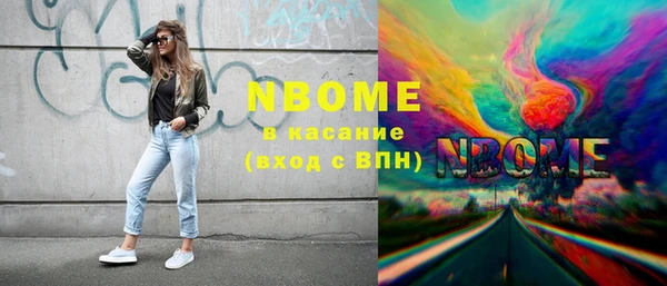 сатива Осинники