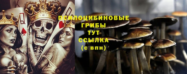 сатива Осинники